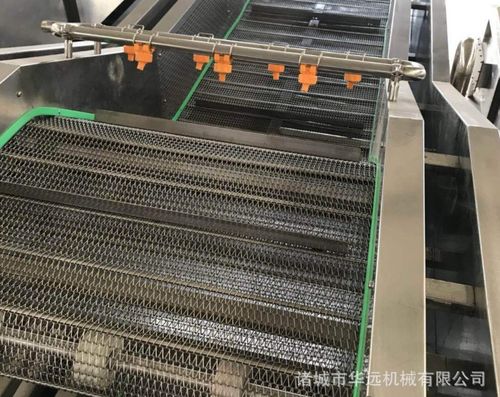 淺析怎樣選購(gòu)蔬菜清洗設(shè)備安全放心那