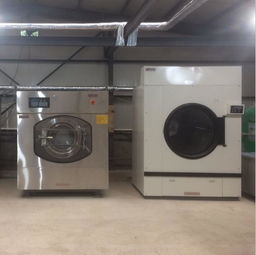 供應衡水水洗廠設備