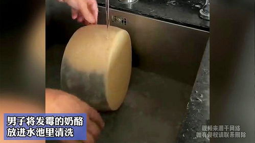 男子將發(fā)霉的奶酪,放進水池里清洗