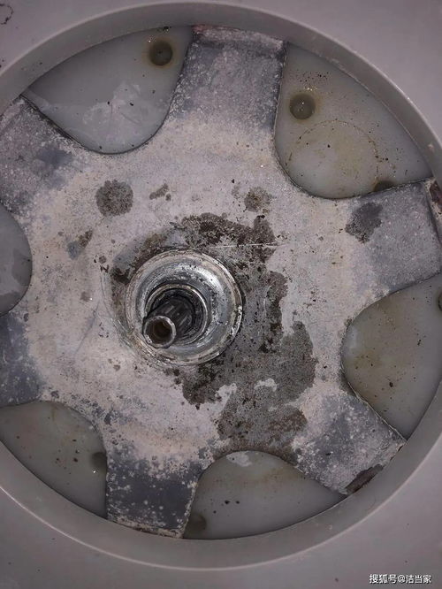 家電清洗最好請(qǐng)專業(yè)人士,切不可盲目拆洗,否則后果很嚴(yán)重